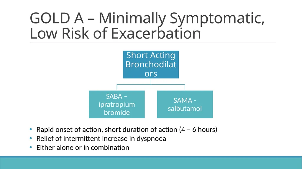 COPD (Chronic Obstructive Pulmonary Disease) - slide 17 of 33