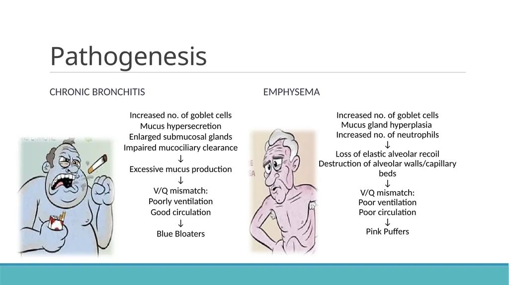 COPD (Chronic Obstructive Pulmonary Disease) - slide 3 of 33