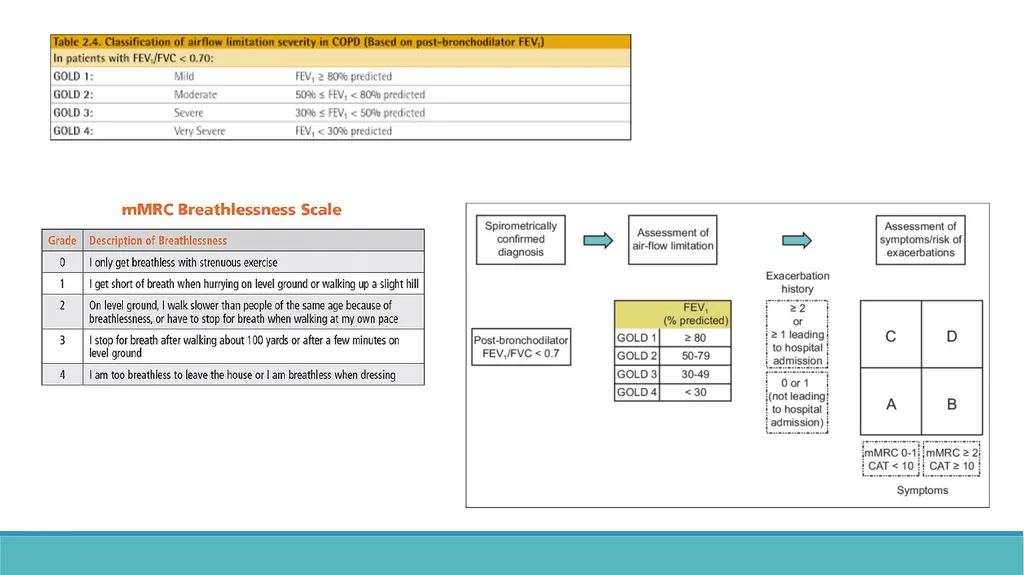 COPD (Chronic Obstructive Pulmonary Disease) - slide 11 of 33