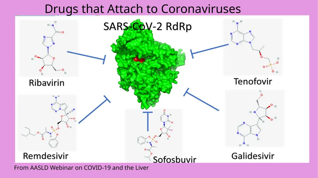 COVID-19 Infection in Persons with Underlying - slide 8 of 11