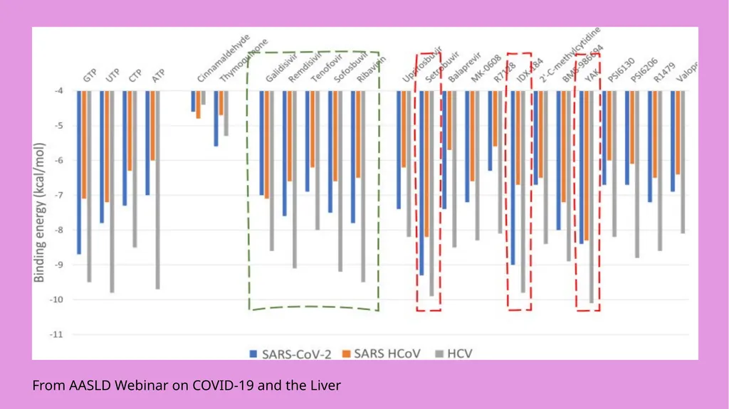 COVID-19 Infection in Persons with Underlying - slide 9 of 11