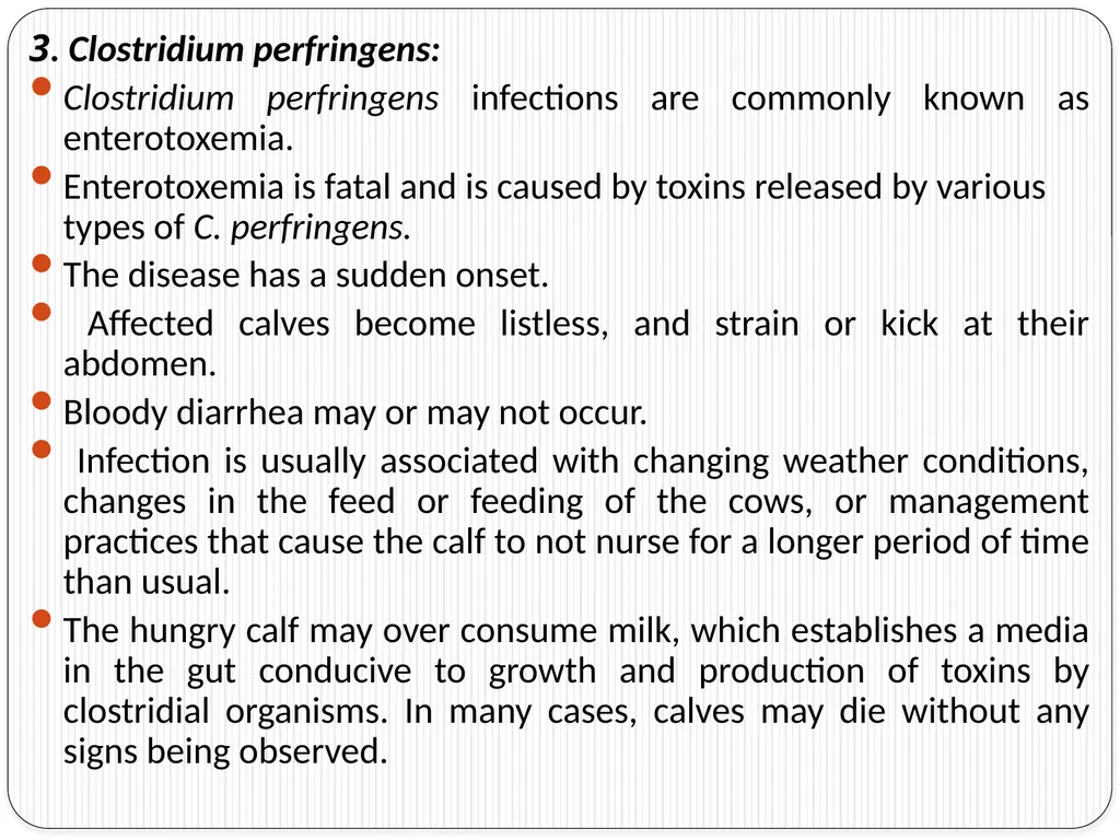 Neonatal Diseases Perinatal ----The morbidity or - slide 6 of 33