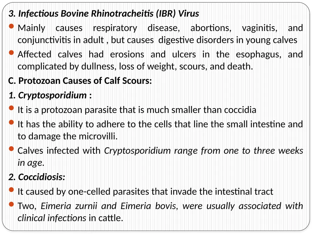 Neonatal Diseases Perinatal ----The morbidity or - slide 8 of 33