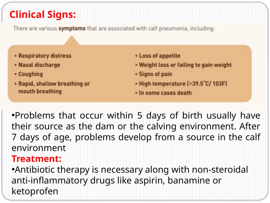 Neonatal Diseases Perinatal ----The morbidity or - slide 17 of 33