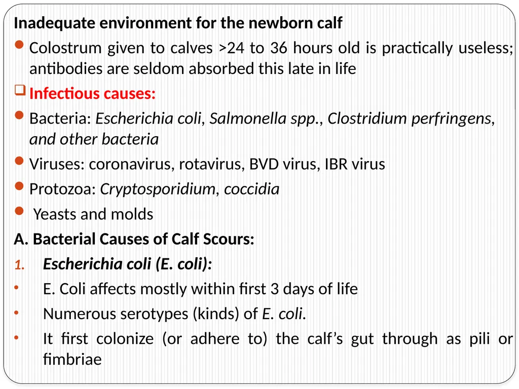 Neonatal Diseases Perinatal ----The morbidity or - slide 4 of 33