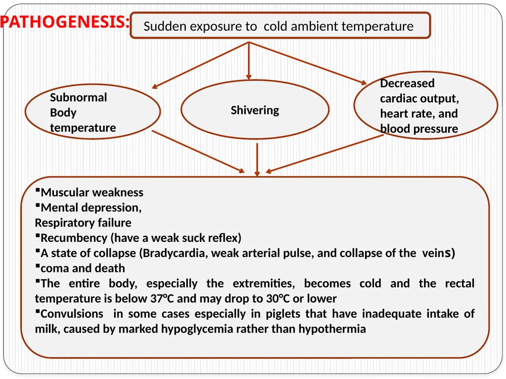 Neonatal Diseases Perinatal ----The morbidity or - slide 25 of 33