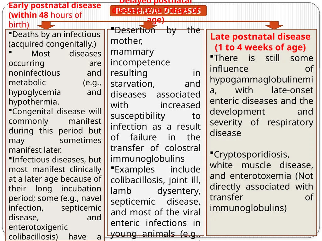 Neonatal Diseases Perinatal ----The morbidity or - slide 2 of 33