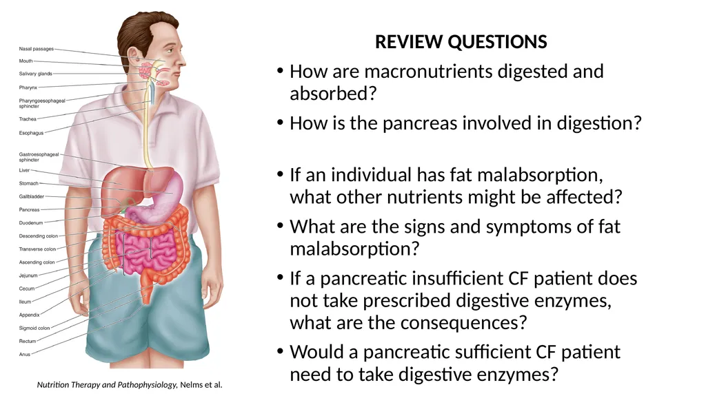 Nutrition and Cystic Fibrosis Module 1: Cystic - slide 9 of 20