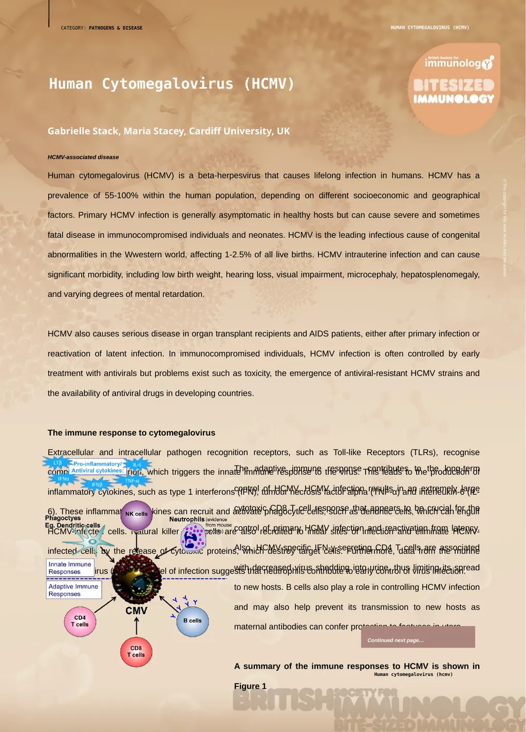 CATEGORY: PATHOGENS & DISEASE Human - slide 1 of 2