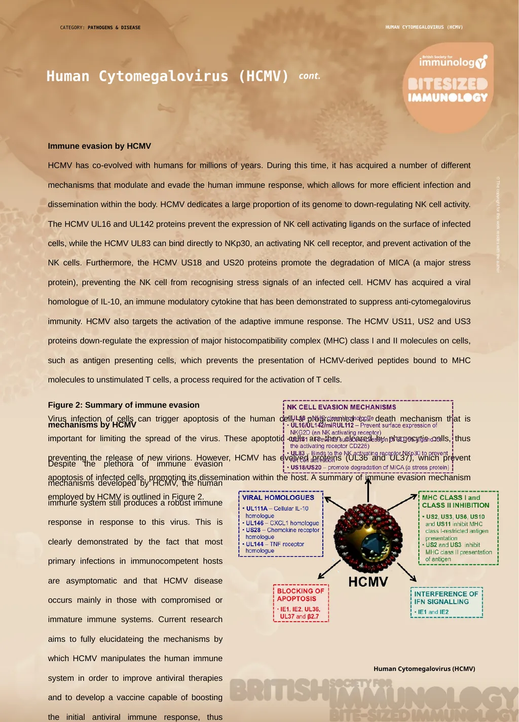 CATEGORY: PATHOGENS & DISEASE Human - slide 2 of 2