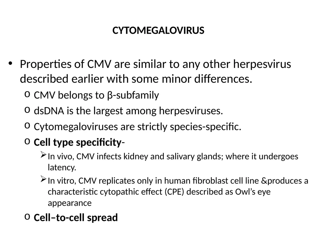 CYTOMEGALOVIRUS Largest virus in herpes viridae - slide 2 of 22