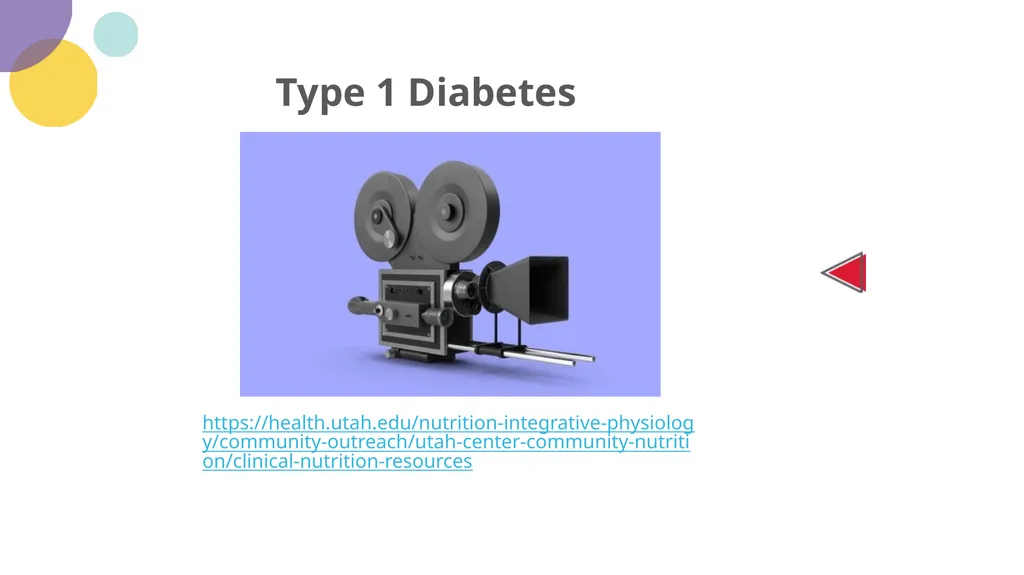 Diabetes 101 Understand the: Etiology - slide 7 of 18