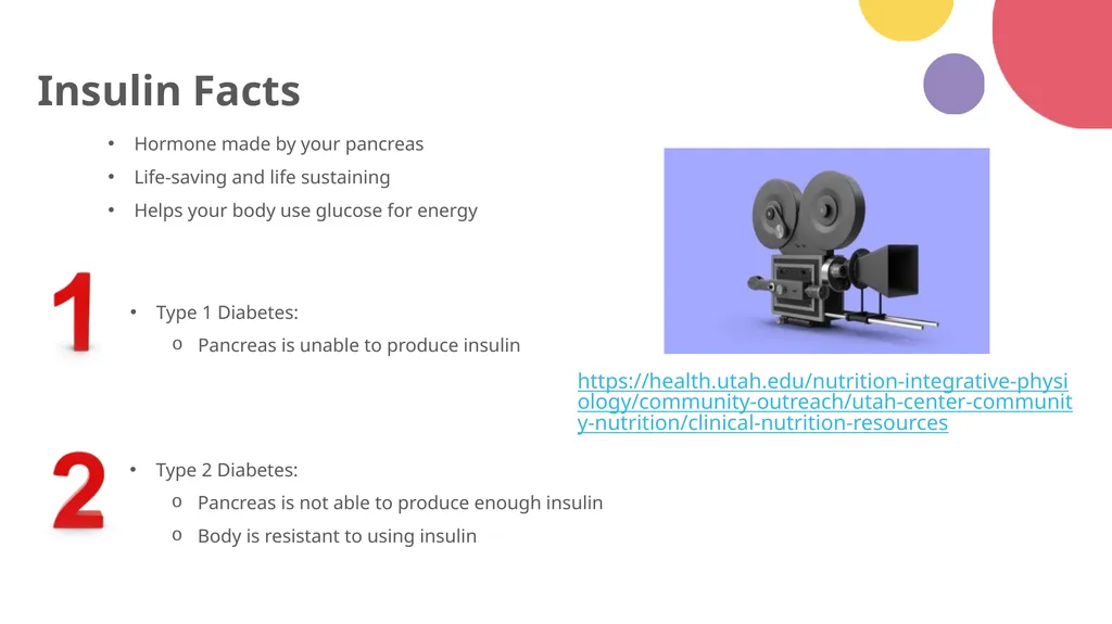 Diabetes 101 Understand the: Etiology - slide 6 of 18