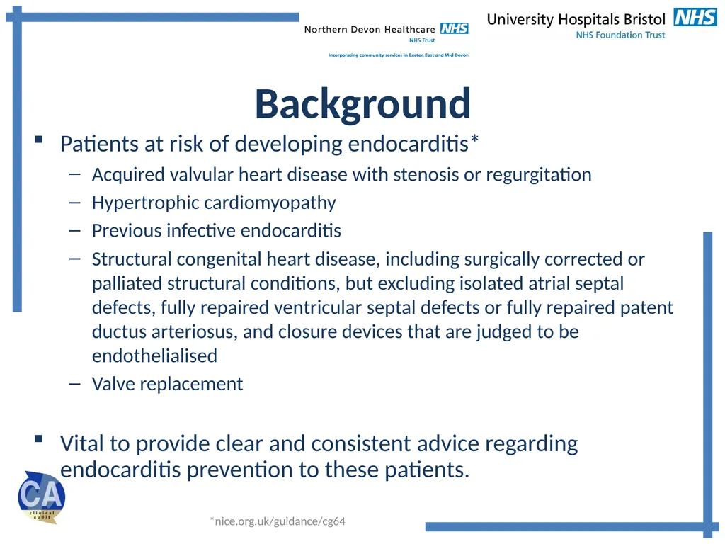 Endocarditis Prevention Advice Audit Arend A, - slide 2 of 14