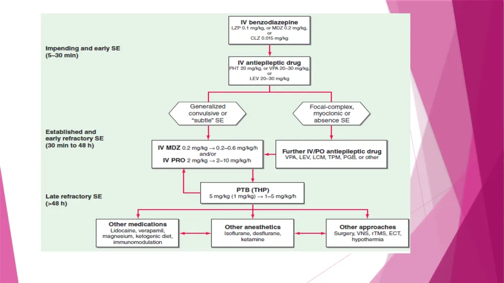 Seizures & Epilepsy Dr Maria George Introduction - slide 61 of 69