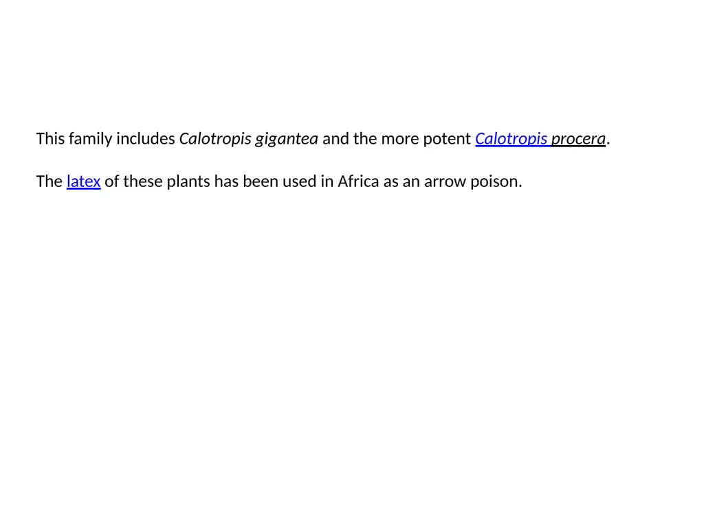 Abrus precatorius Common Name: jequirity bean or - slide 20 of 23