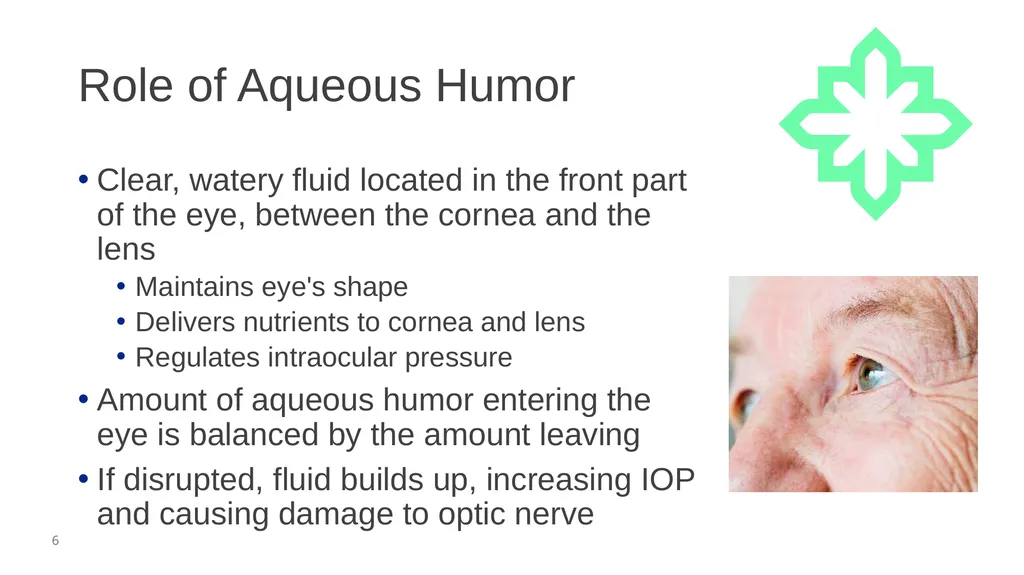 Glaucoma Screening (Clinical) February 2026 - slide 6 of 31
