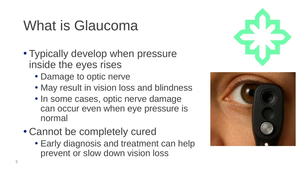 Glaucoma Screening (Clinical) February 2026 - slide 5 of 31