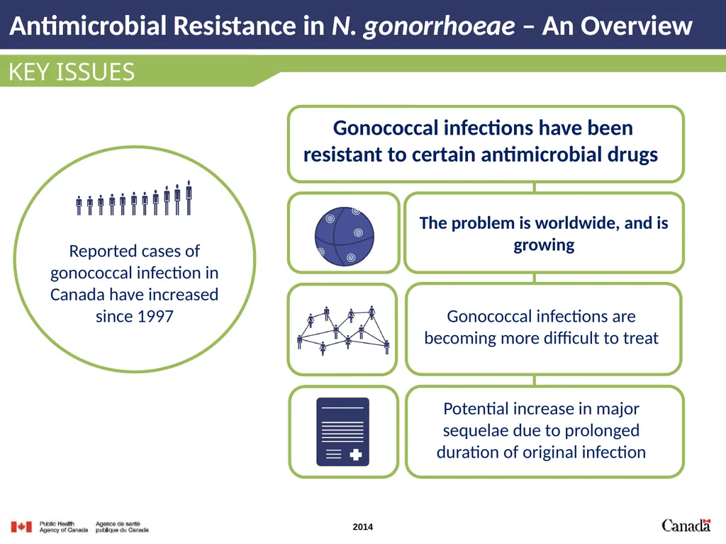 INTRODUCTION Antimicrobial Resistance in N. - slide 2 of 15