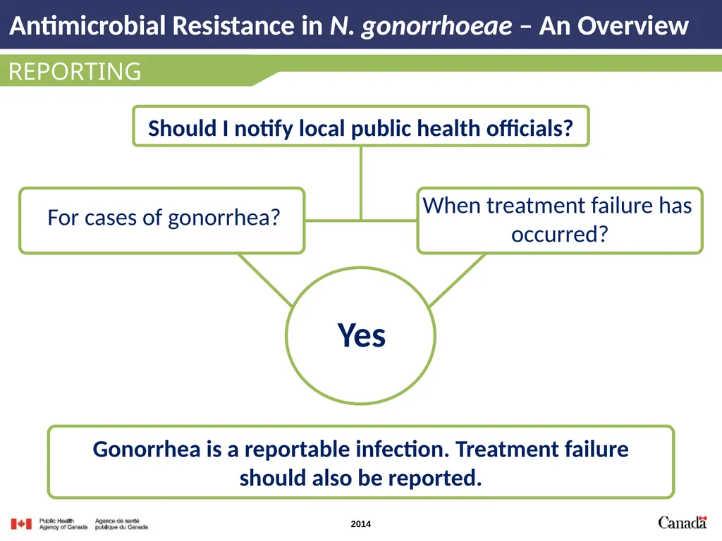INTRODUCTION Antimicrobial Resistance in N. - slide 13 of 15