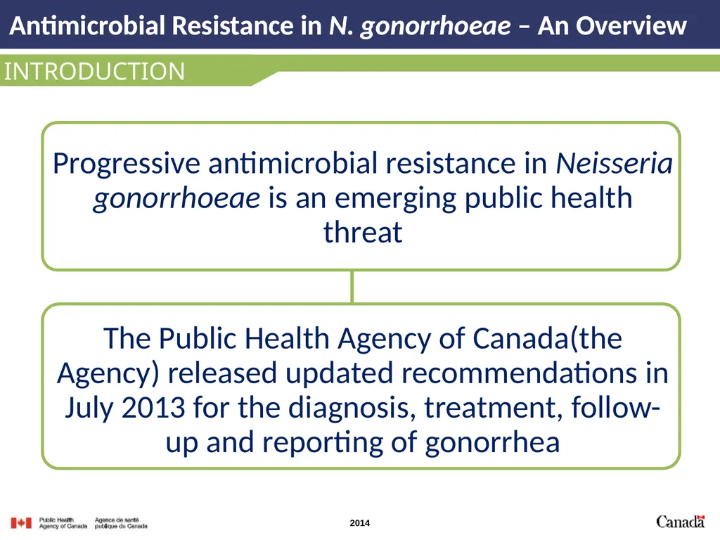 INTRODUCTION Antimicrobial Resistance in N.