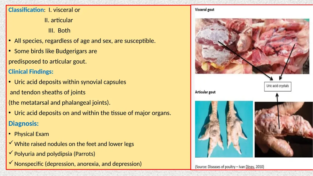GOUT Unit:3 Dr. Anil Kumar (Medicine) Asst. - slide 4 of 8