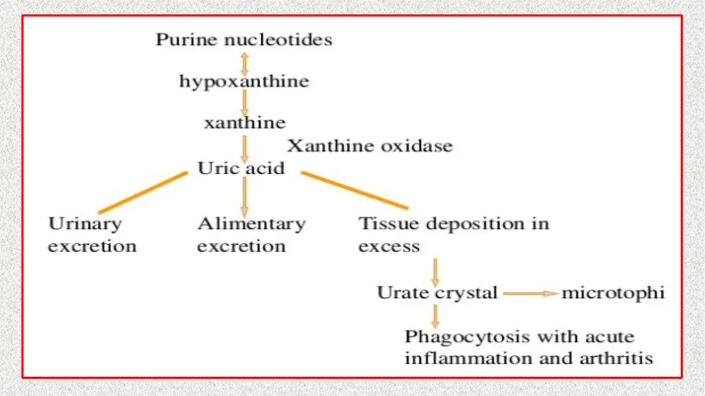 GOUT Unit:3 Dr. Anil Kumar (Medicine) Asst. - slide 3 of 8