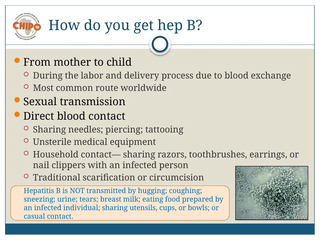 An Educational Resource Hepatitis B in People of - slide 12 of 23