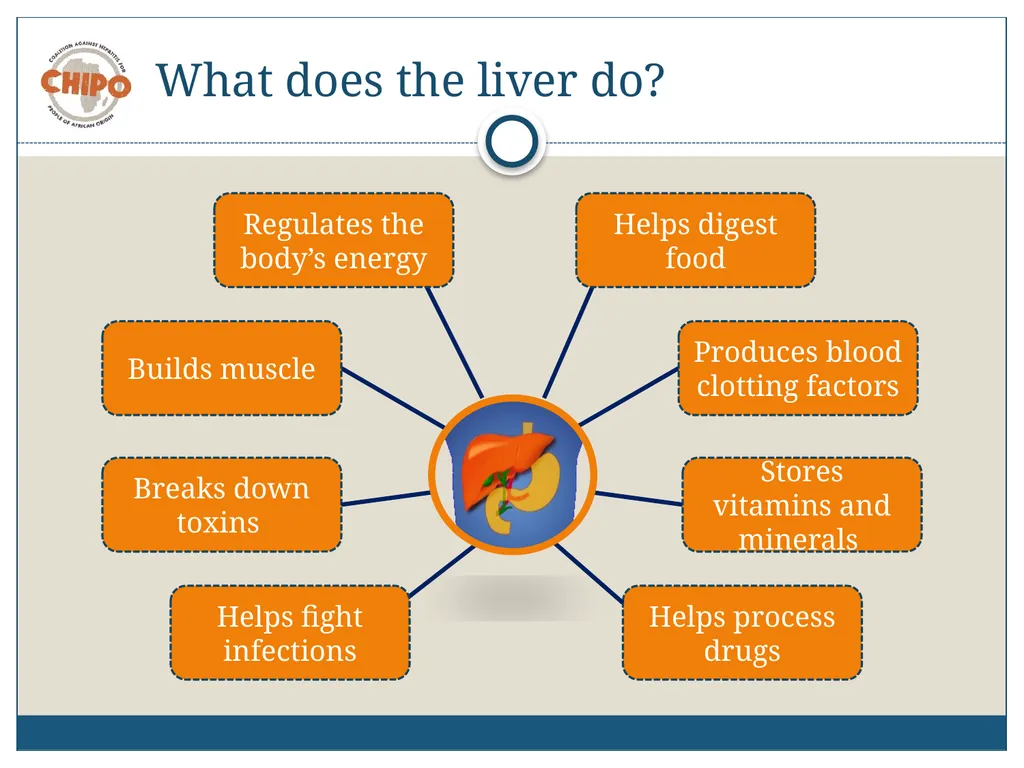 An Educational Resource Hepatitis B in People of - slide 6 of 23