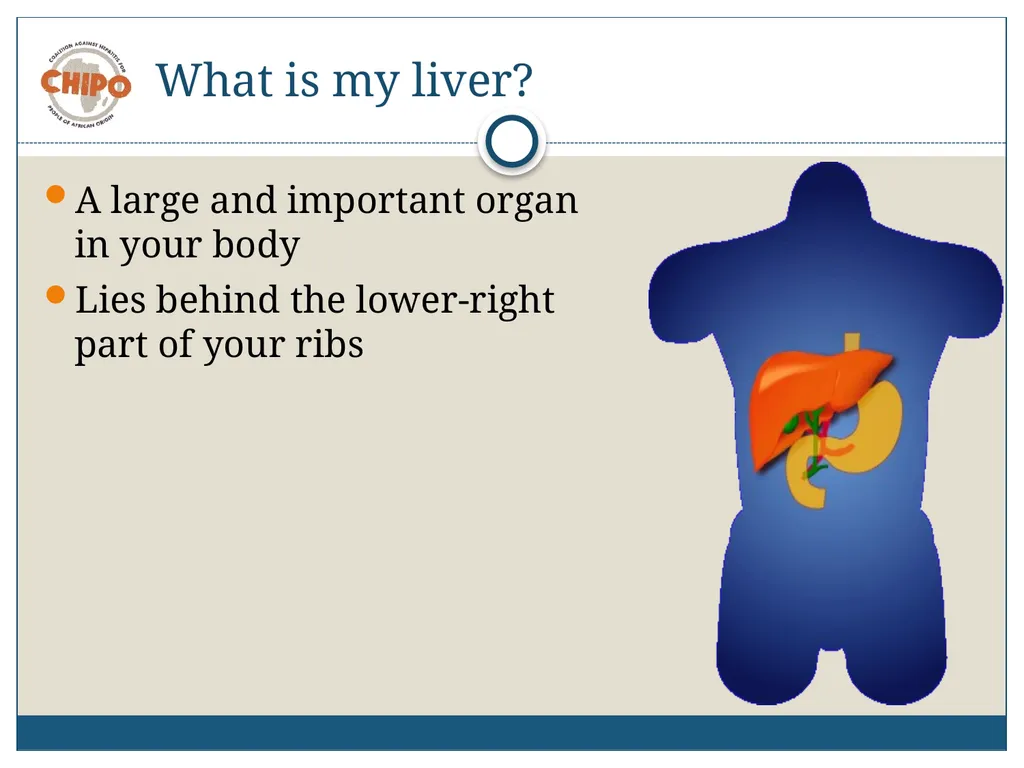 An Educational Resource Hepatitis B in People of - slide 5 of 23