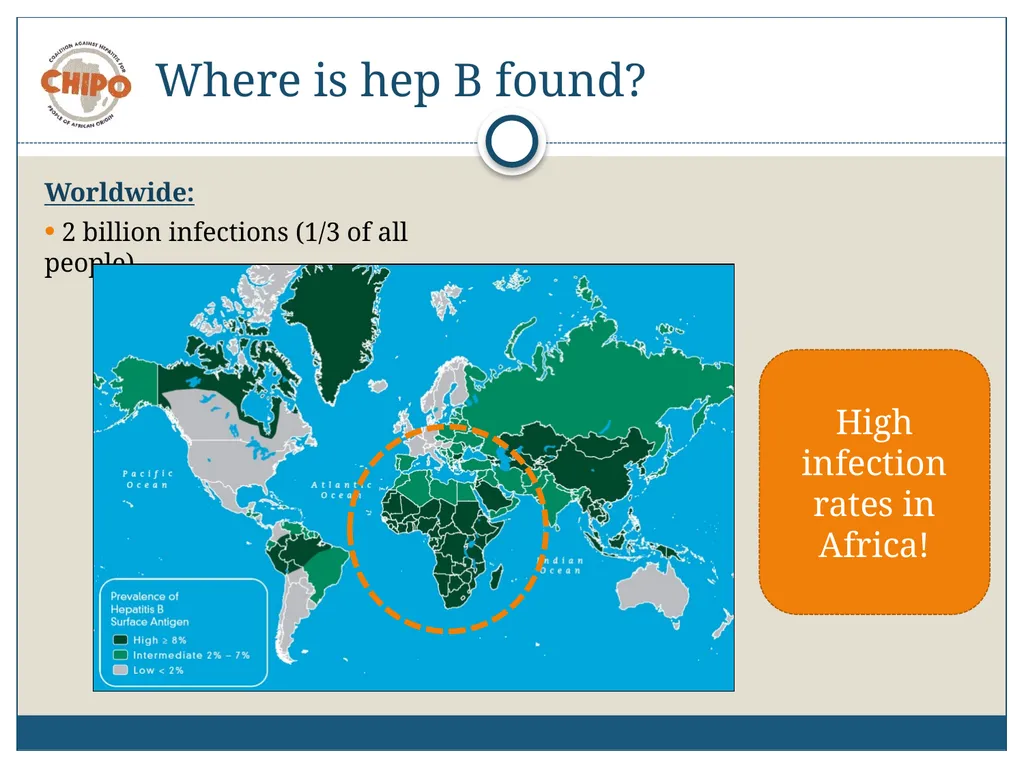 An Educational Resource Hepatitis B in People of - slide 11 of 23