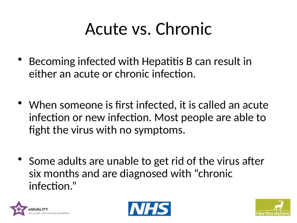 Hepatitis B Training information for support - slide 3 of 16