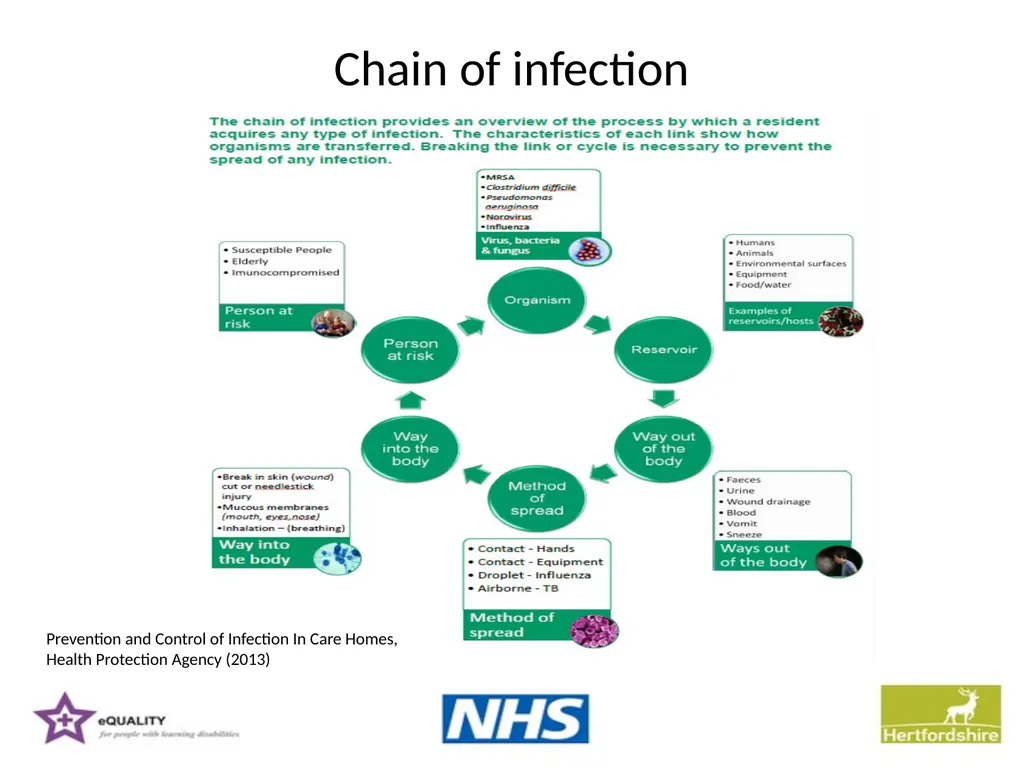 Hepatitis B Training information for support - slide 9 of 16