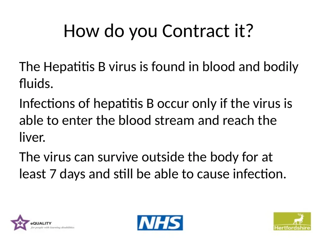 Hepatitis B Training information for support - slide 4 of 16