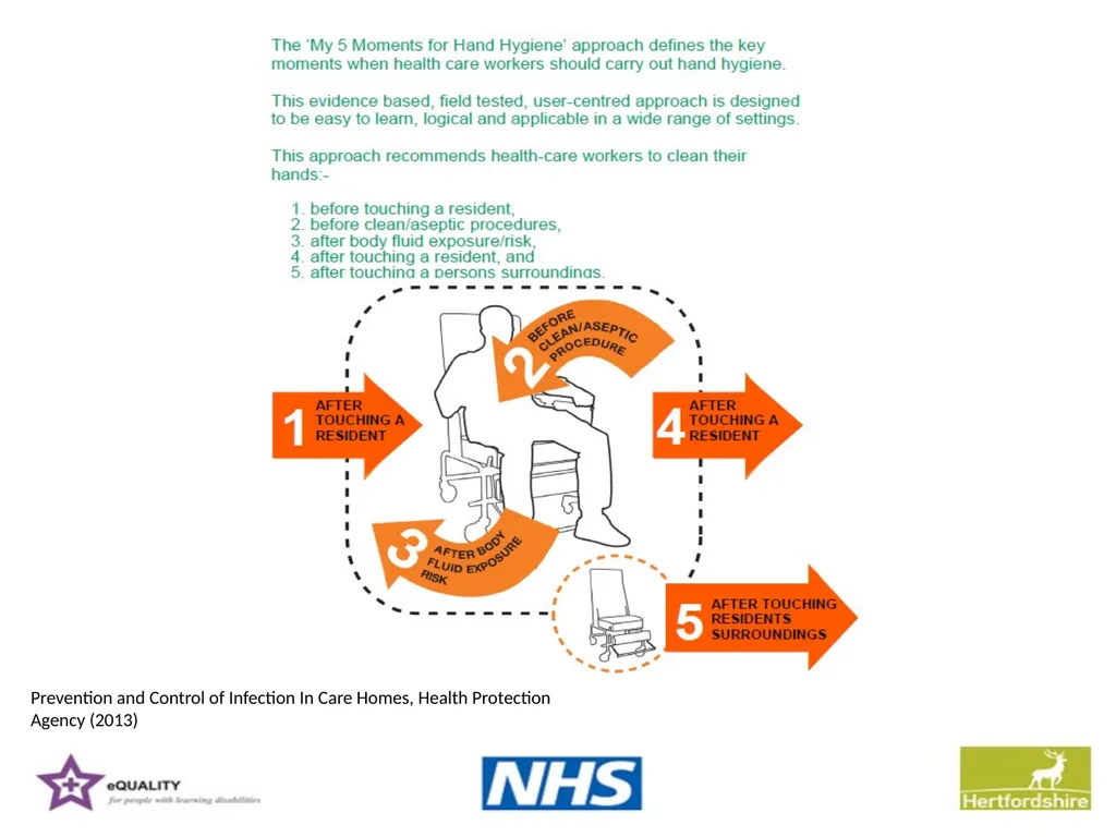 Hepatitis B Training information for support - slide 14 of 16