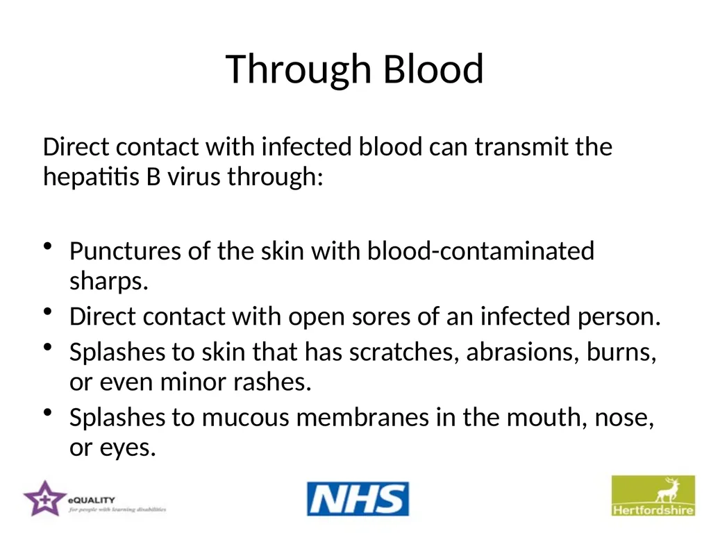 Hepatitis B Training information for support - slide 5 of 16