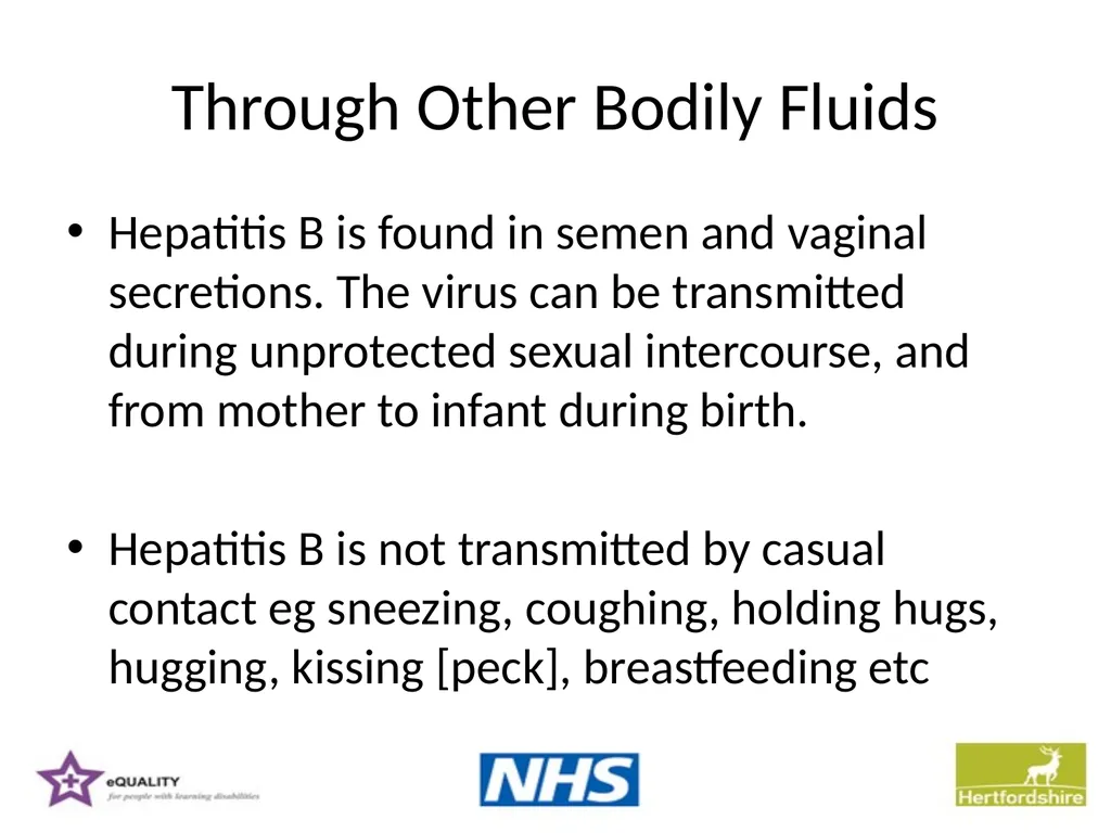 Hepatitis B Training information for support - slide 7 of 16