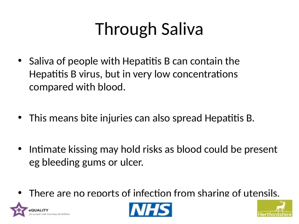 Hepatitis B Training information for support - slide 6 of 16