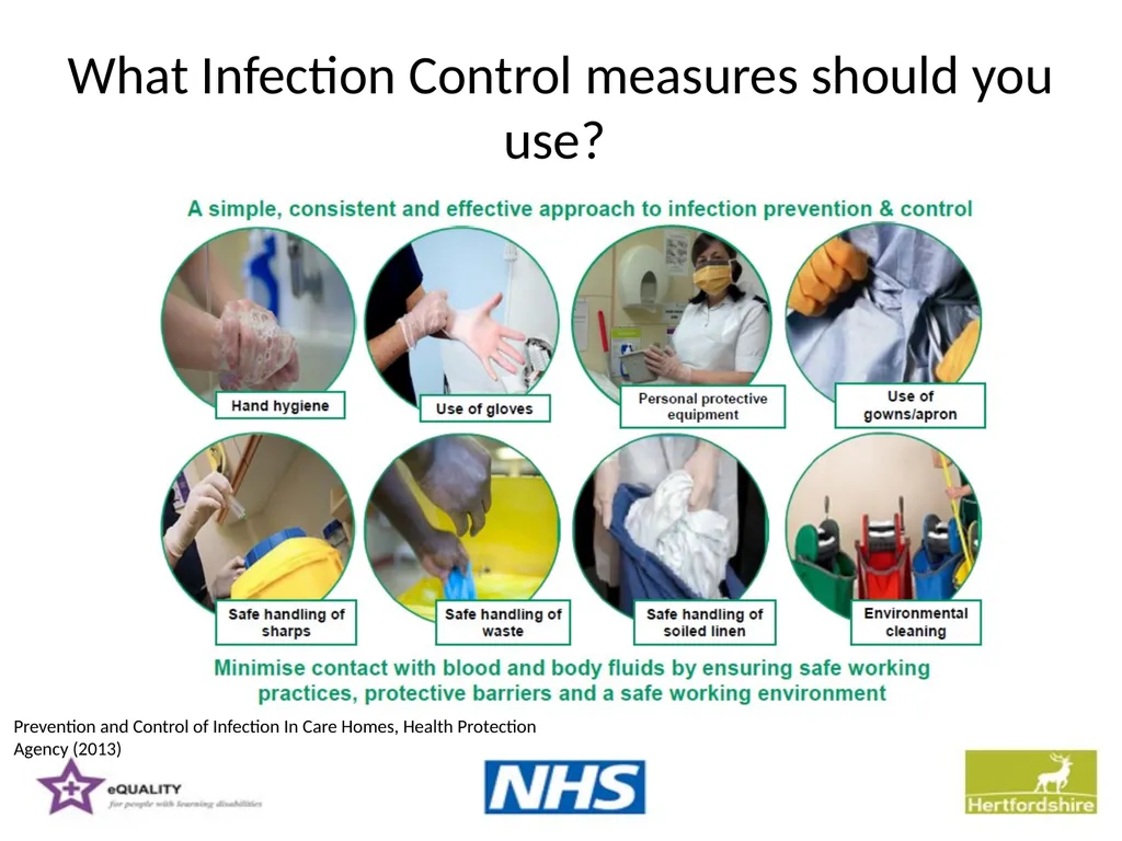 Hepatitis B Training information for support - slide 12 of 16