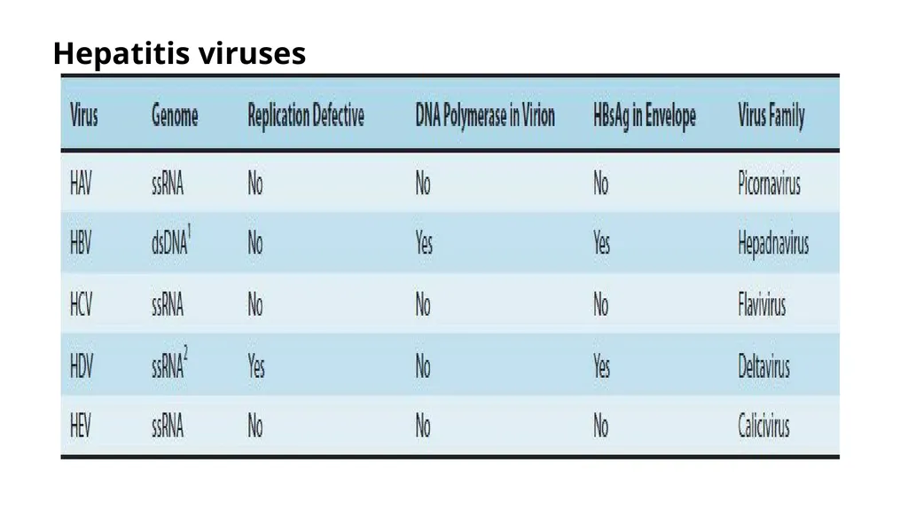 Hepatitis viruses Learning objectives: Identify - slide 4 of 31