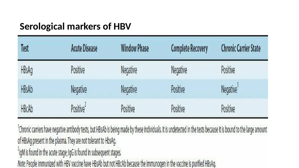 Hepatitis viruses Learning objectives: Identify - slide 26 of 31