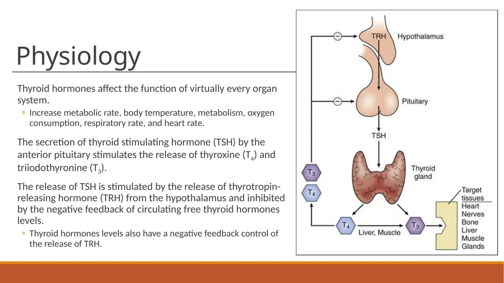 Thyroid Disorders Chandler Craft, Pharm.D. - slide 3 of 19