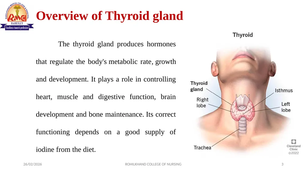 HYPERTHYROIDISM MR. DINESH SINGH P.G. NURSING - slide 3 of 15