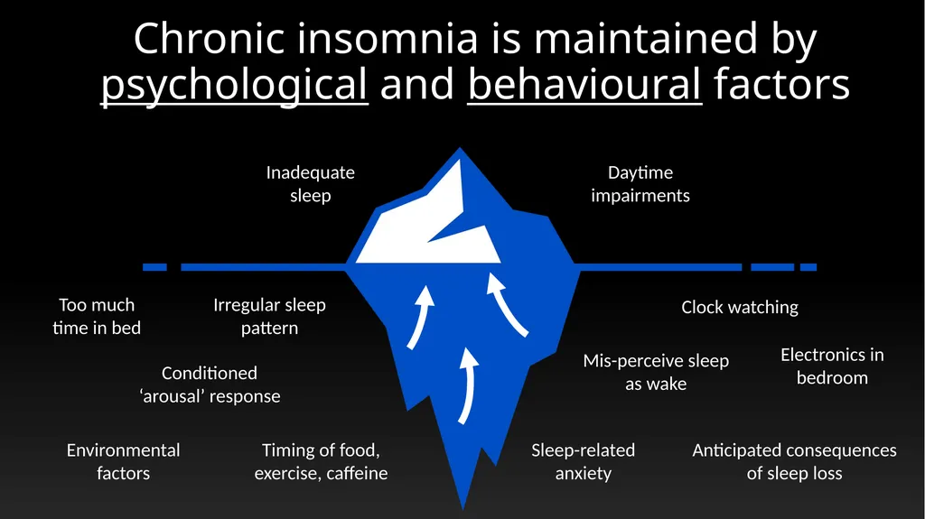 Mental Bites: Insomnia Dr Alexander Sweetman - slide 11 of 19