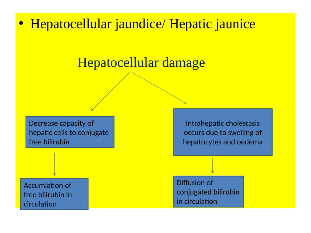 Liver Disorder-II (Jaundice) Dr. Vivek Kr. Singh - slide 8 of 14