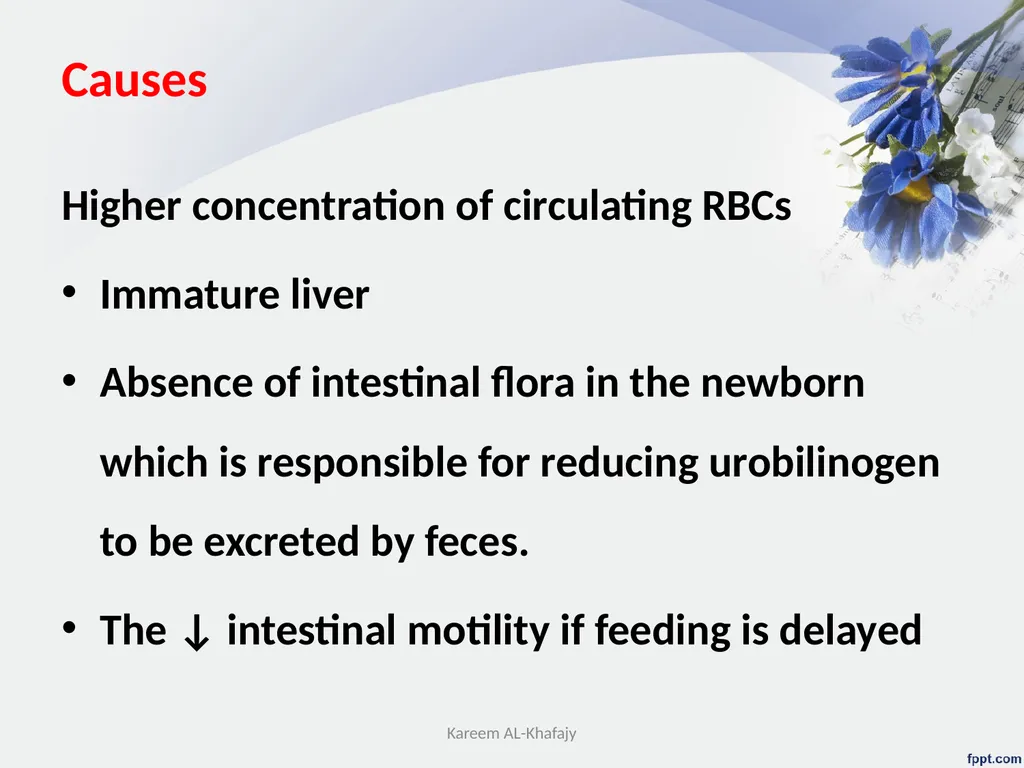 Jaundice (Hyperbilirubinemia) Lecturer Assistant - slide 9 of 16
