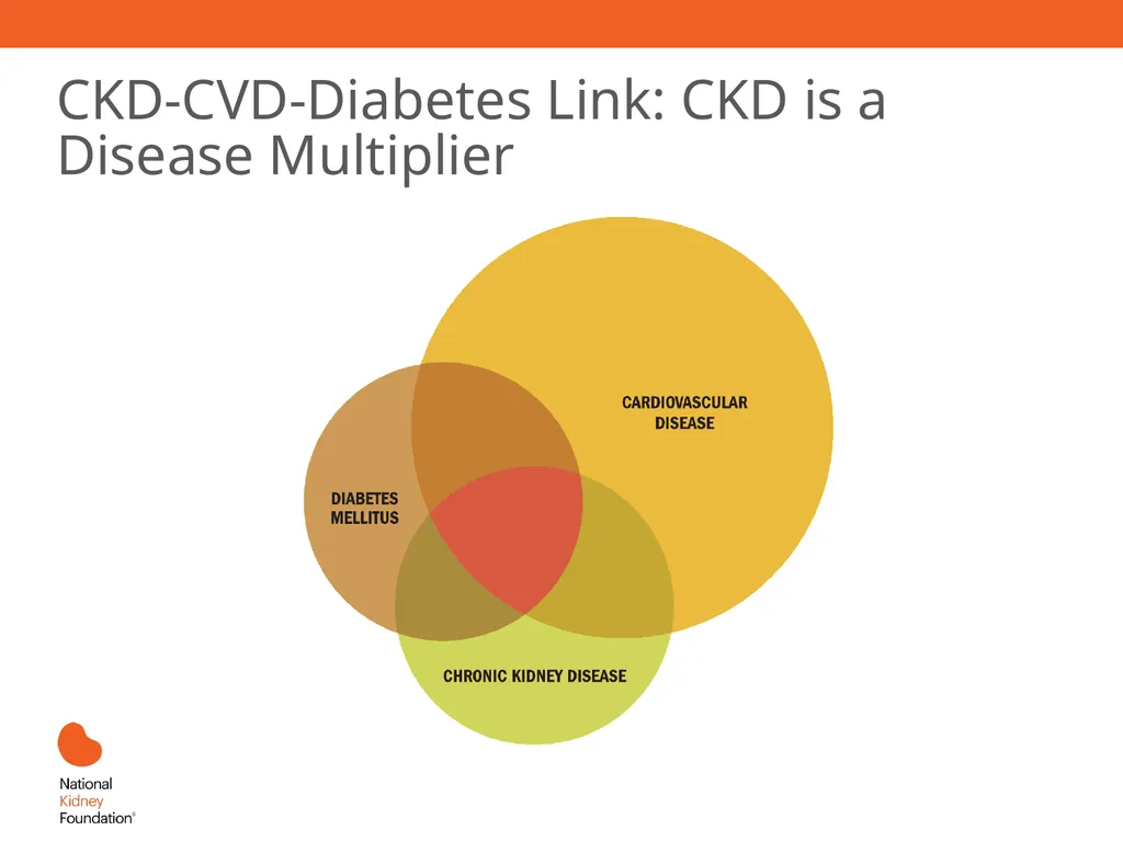A Primary Care Approach to CKD Management Learning - slide 8 of 43