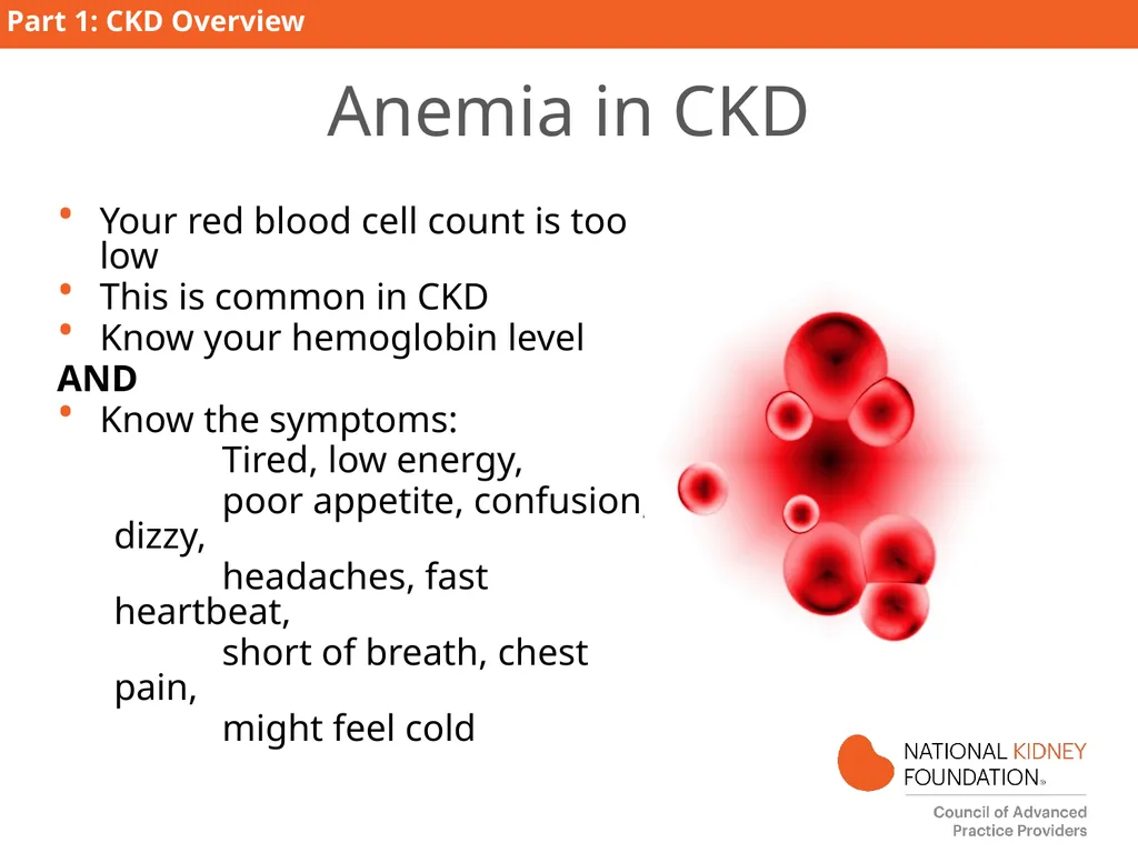 Kidney Disease Education PART 1: CKD Overview - slide 19 of 27