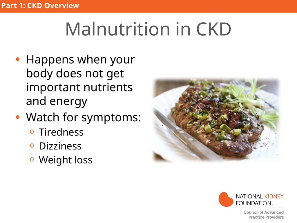 Kidney Disease Education PART 1: CKD Overview - slide 14 of 27