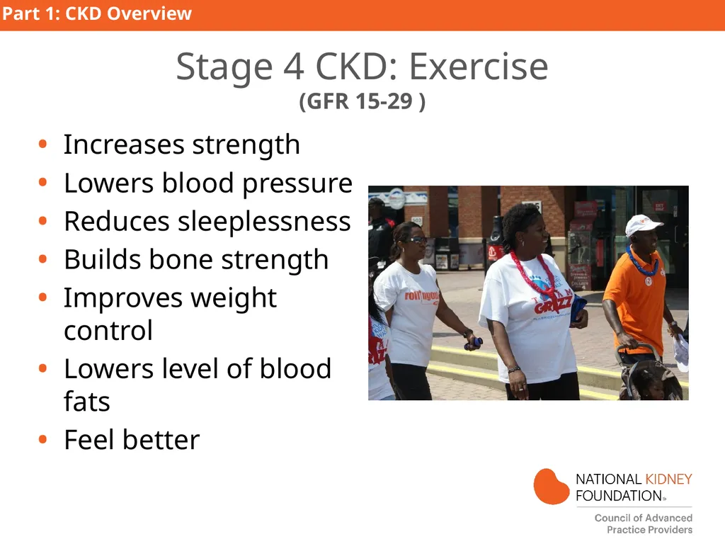Kidney Disease Education PART 1: CKD Overview - slide 17 of 27